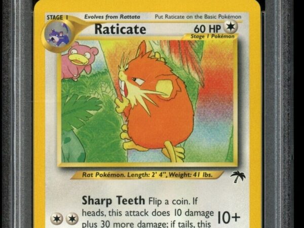PSA 10 Raticate 6/18 - Southern Islands
