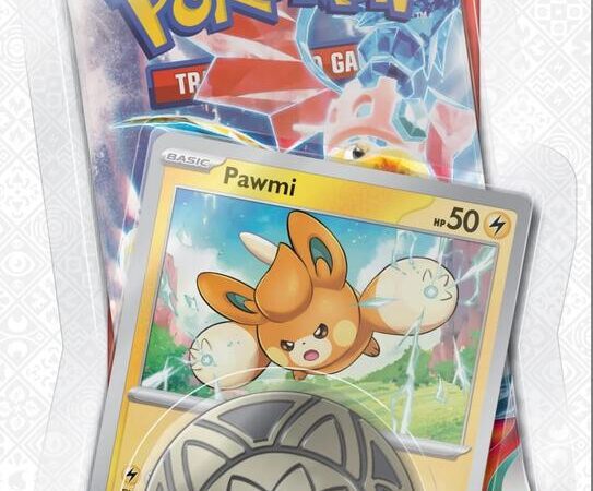 Obsidian Flames Single Pack Blister - Pawmi