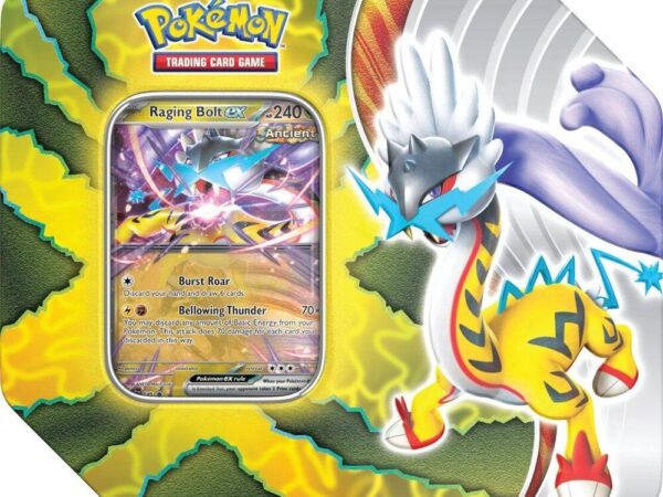 Paradox Destinies Tin