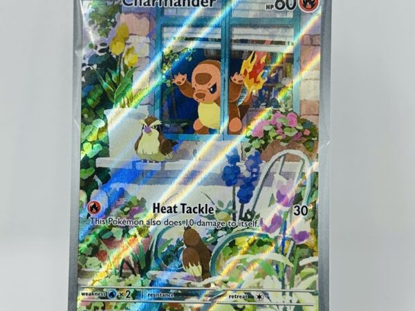 Charmander 044 - Black Star Promo - Sealed